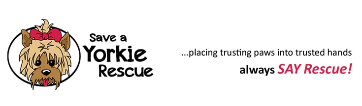 Save A Yorkie Rescue Inc