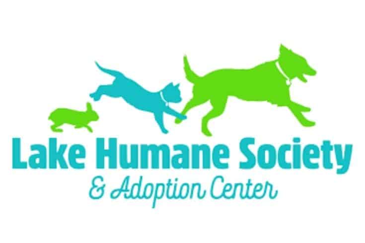 Small Rescue Ohio Dog Adoption - Lake Humane Society