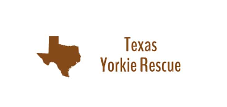 Texas Yorkie Rescue