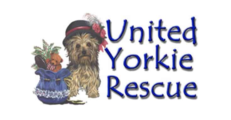 United Yorkie Rescue