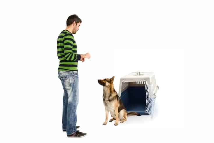 What Is Crate Training
