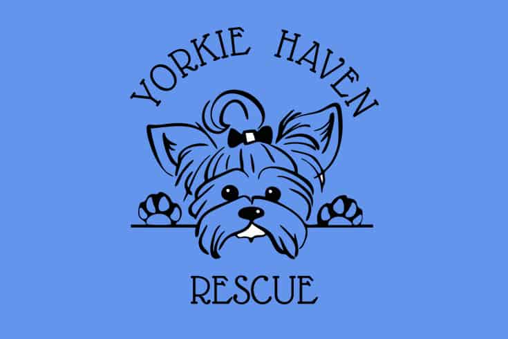 Yrokie Haven Rescue