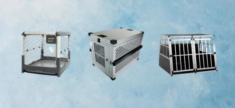 Best Aluminum Dog Box