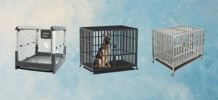 Best Dog Crates With Wheels