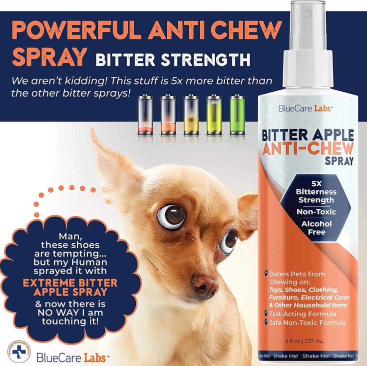 Bitter Apple Spray for Dogs to Stop Chewing Furniture Paws e1649848975104