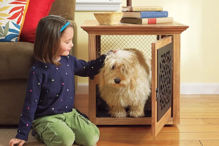 Cute Wooden End Table Dog Crate
