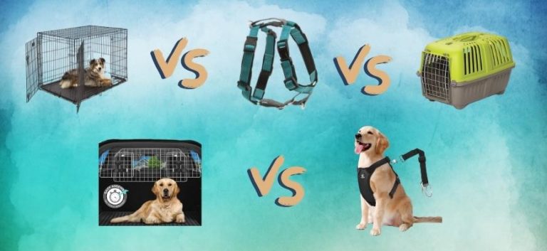 Dog Crate Vs Harness Vs Carrier Vs Barrier Vs Seat Belt