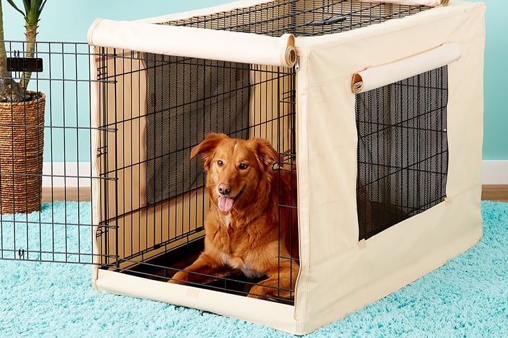 Precision Pet Products Indoor Outdoor Crate Cover