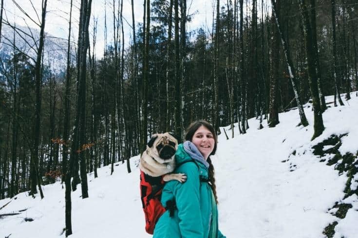 Woman and dog on winter hiking in Bavarian Alps