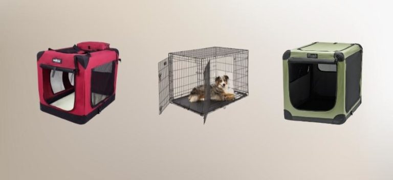 Best Collapsible Dog Crates