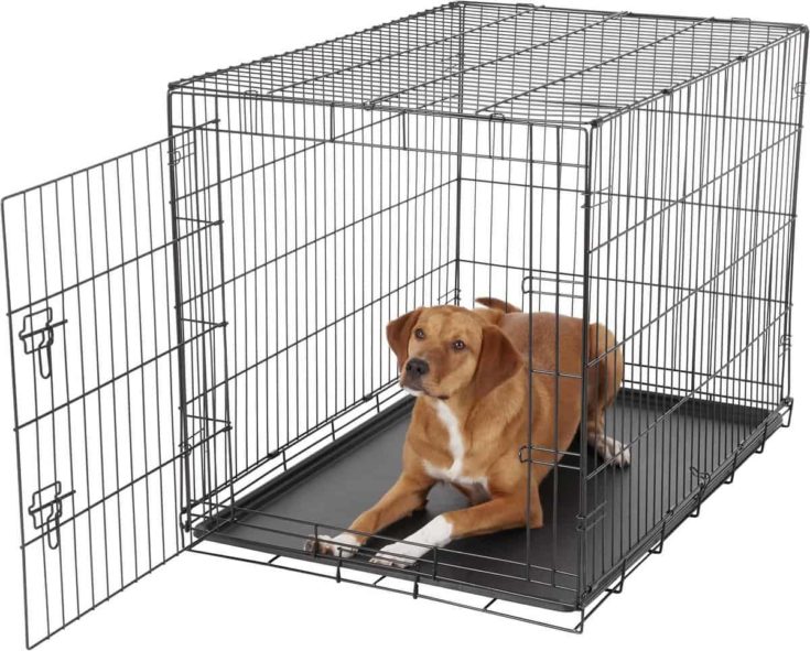 Carlson Pet Products Single Door Collapsible Wire Dog Crate e1651484298888