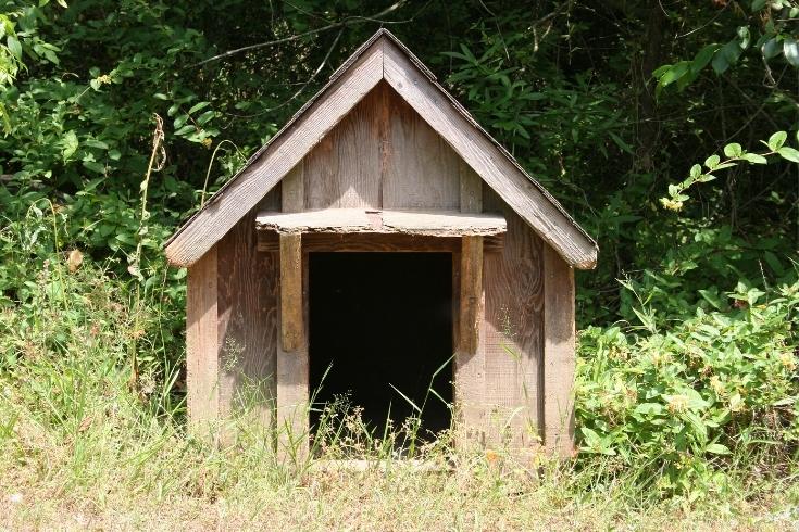 Dog House In Grass