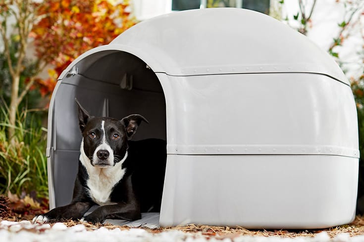 Frisco Dome Dog House