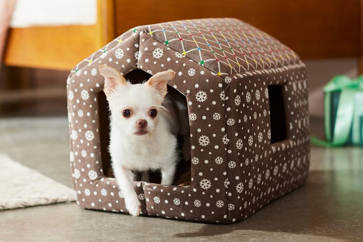 Frisco Holiday Dog Gingerbread House Bed