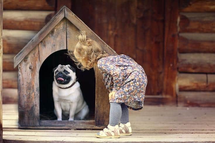 Girl and Small Dog