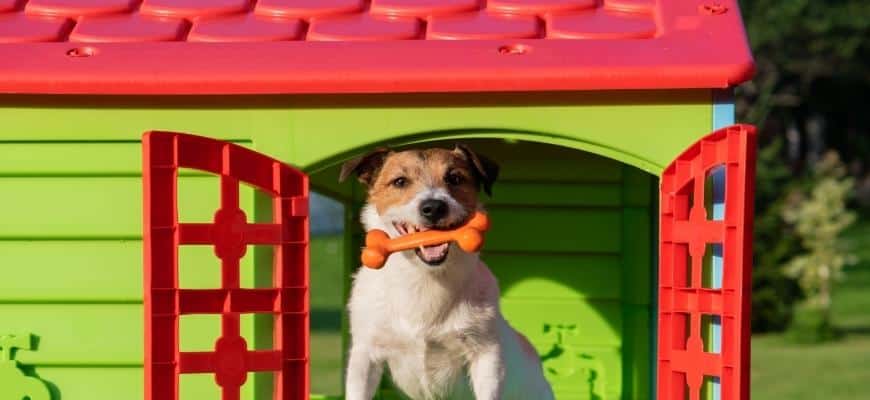 Happy dog in doghouse holding toy bone in mouth