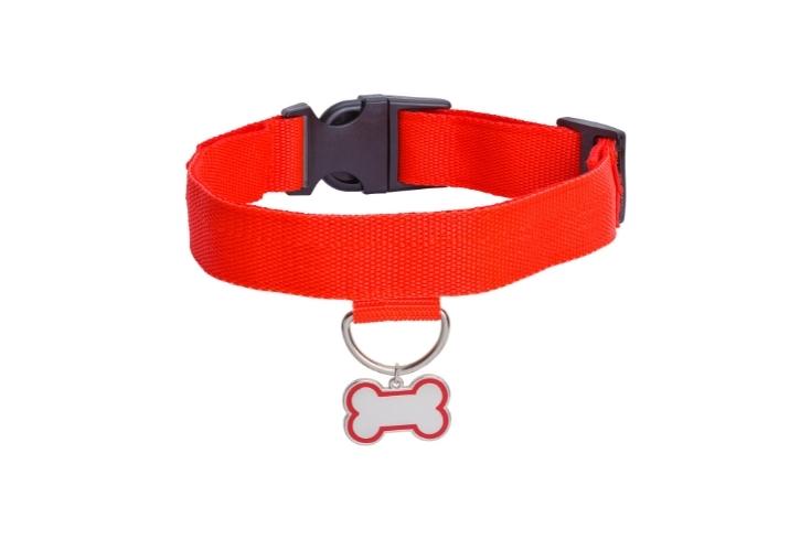Microchip ID Tag Your Pup