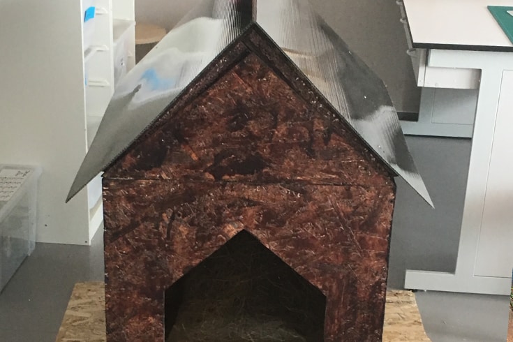 Mirrored Roof Dog House