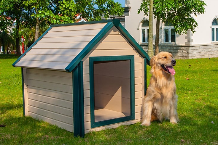 New Age Pet ecoFLEX Bunk Style Dog House