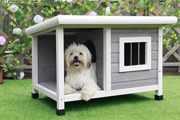 Petsfit Outdoor Wooden Dog House for Small Dogs