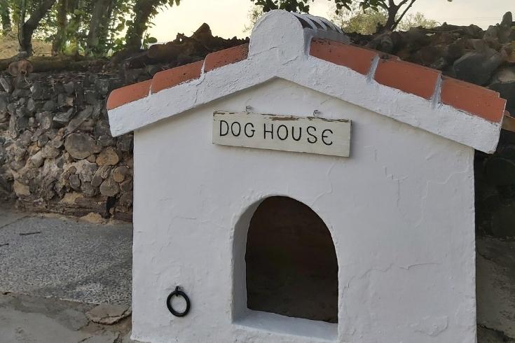 Spanish Style Dog House