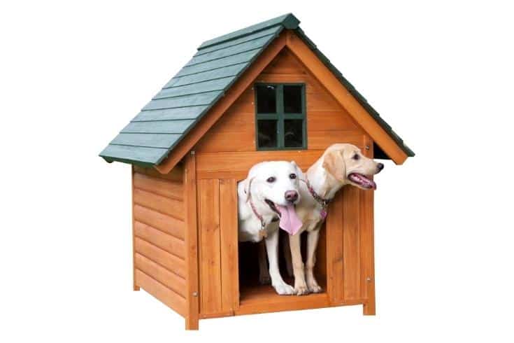 Take Two Dog House