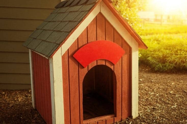 Vintage red dog house