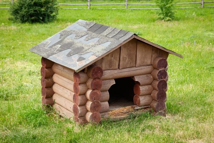 Wooden dog house on green lawn