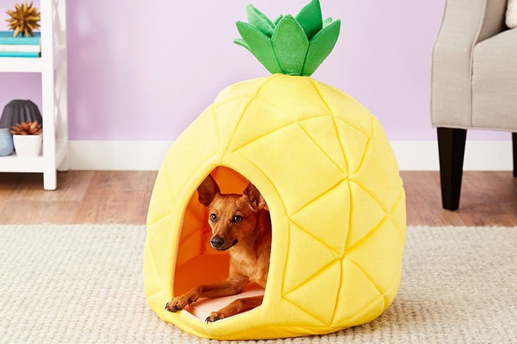 YML Pineapple Covered Cat Dog Bed