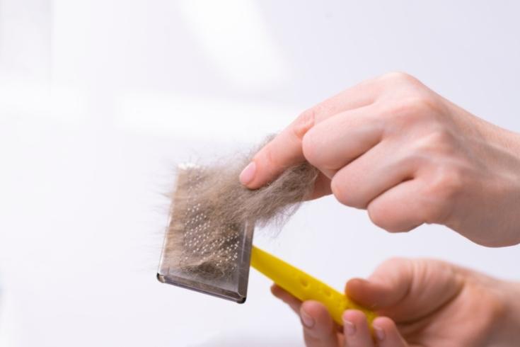 Cleaning Pet Dander with a Remover