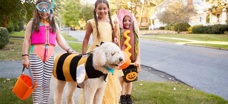 Kids And Labradoodle In Halloween Costumes