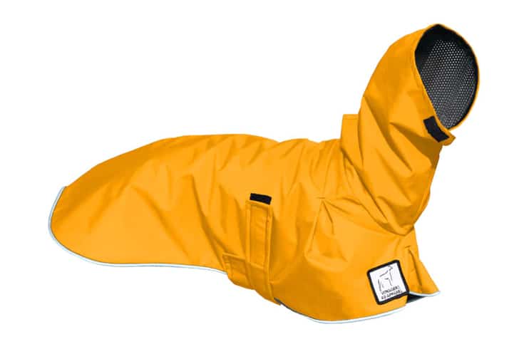Labradoodle Custom Dog Rain Coat
