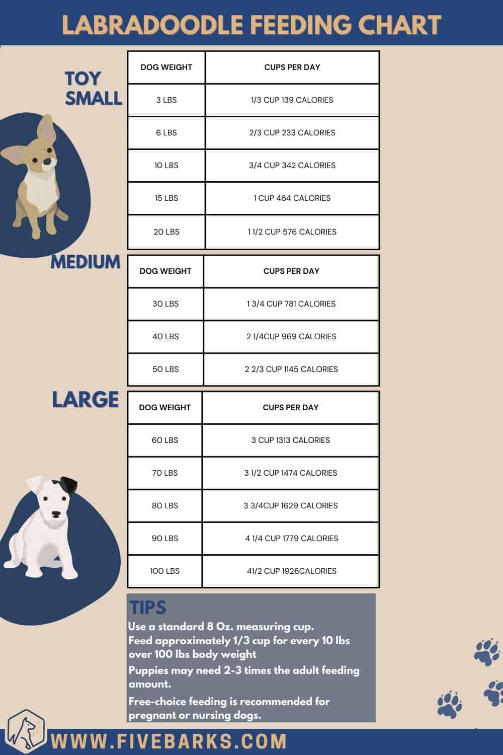 Labradoodle Feeding Chart Page 2
