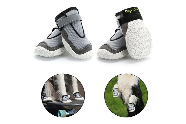 oyalCare Paw Protector Dog Boots