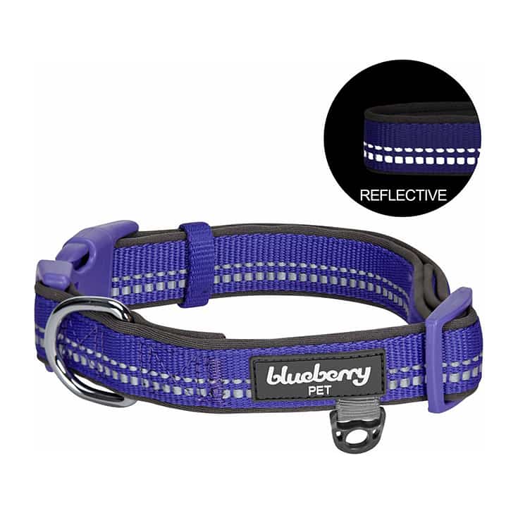 Blueberry Pet Soft Safe 3M Neoprene Padded Adjustable Reflective Dog Collar