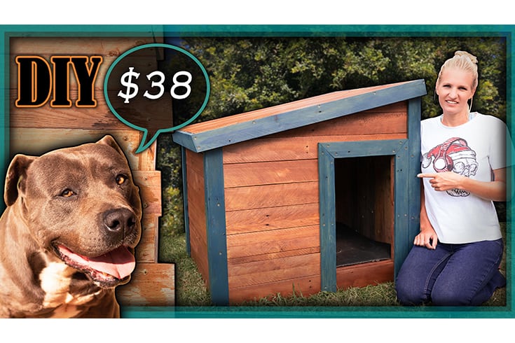 Cheap And Easy Dog House