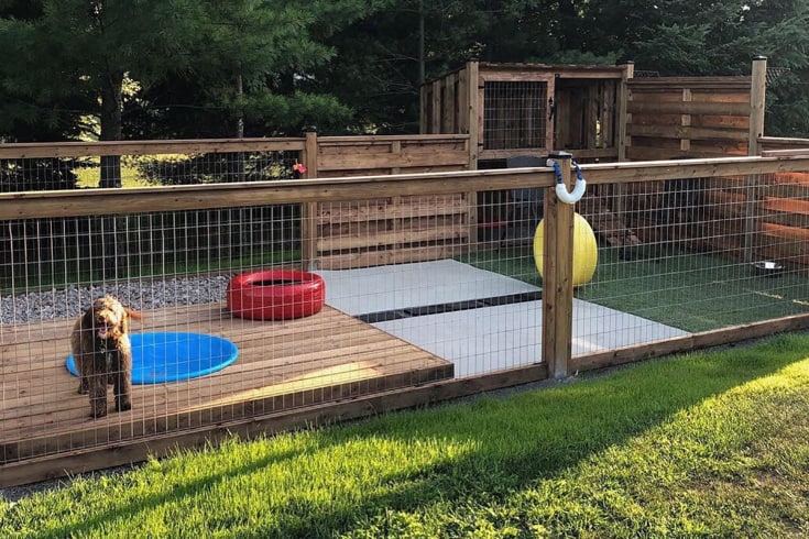 Dog Yard with Kiddie Pool