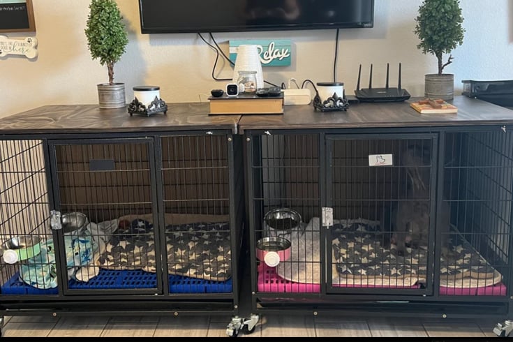 Double Kennel With Divider