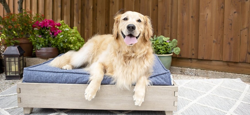 Best bedding For An Outdoor Dog Kennel - FiveBarks