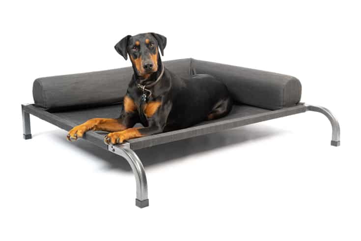 Petfusion Outdoor Elevated Dog Bed