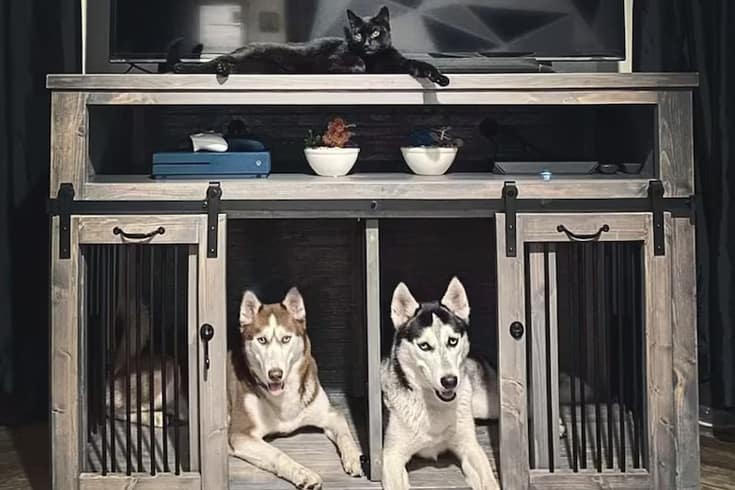 Rustic Double Kennel With Divider