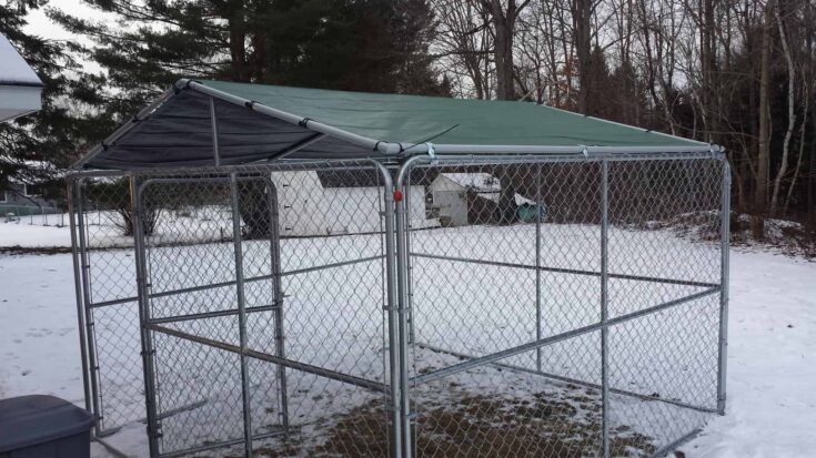 Winterproofing A Kennel Facility e1661404102156