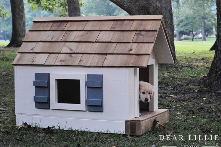 Awesome Wooden Dog House