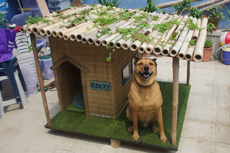 Bamboo Dog Kennel With Sunshade