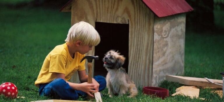 Boy building a dog house for puppy