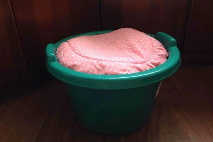 Bucket Dog Bed