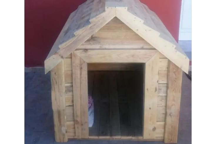 Chevron Roof Doghouse