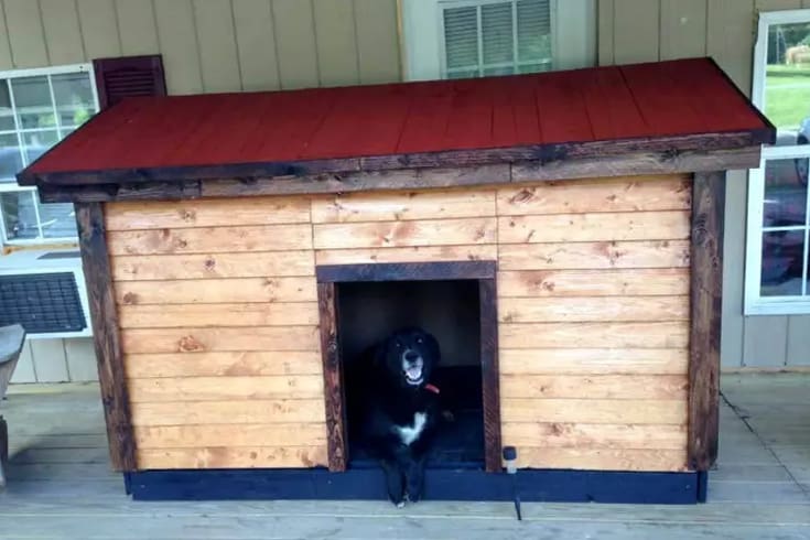 Comfortable Pallet Dog House