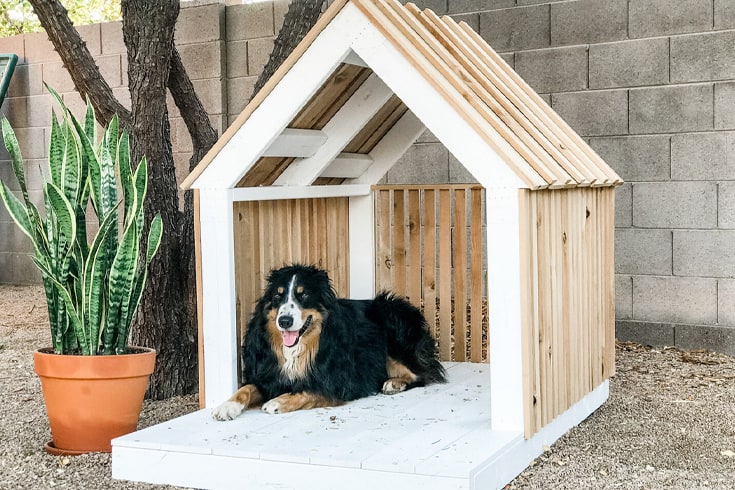 DIY Modern Dog House for Oscar