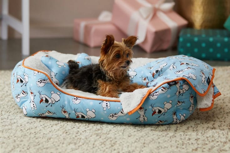 Disney Frozens Olaf Pet Bed Gift Set